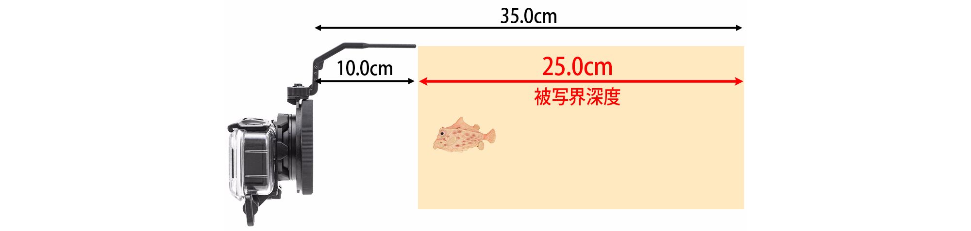 被写界深度